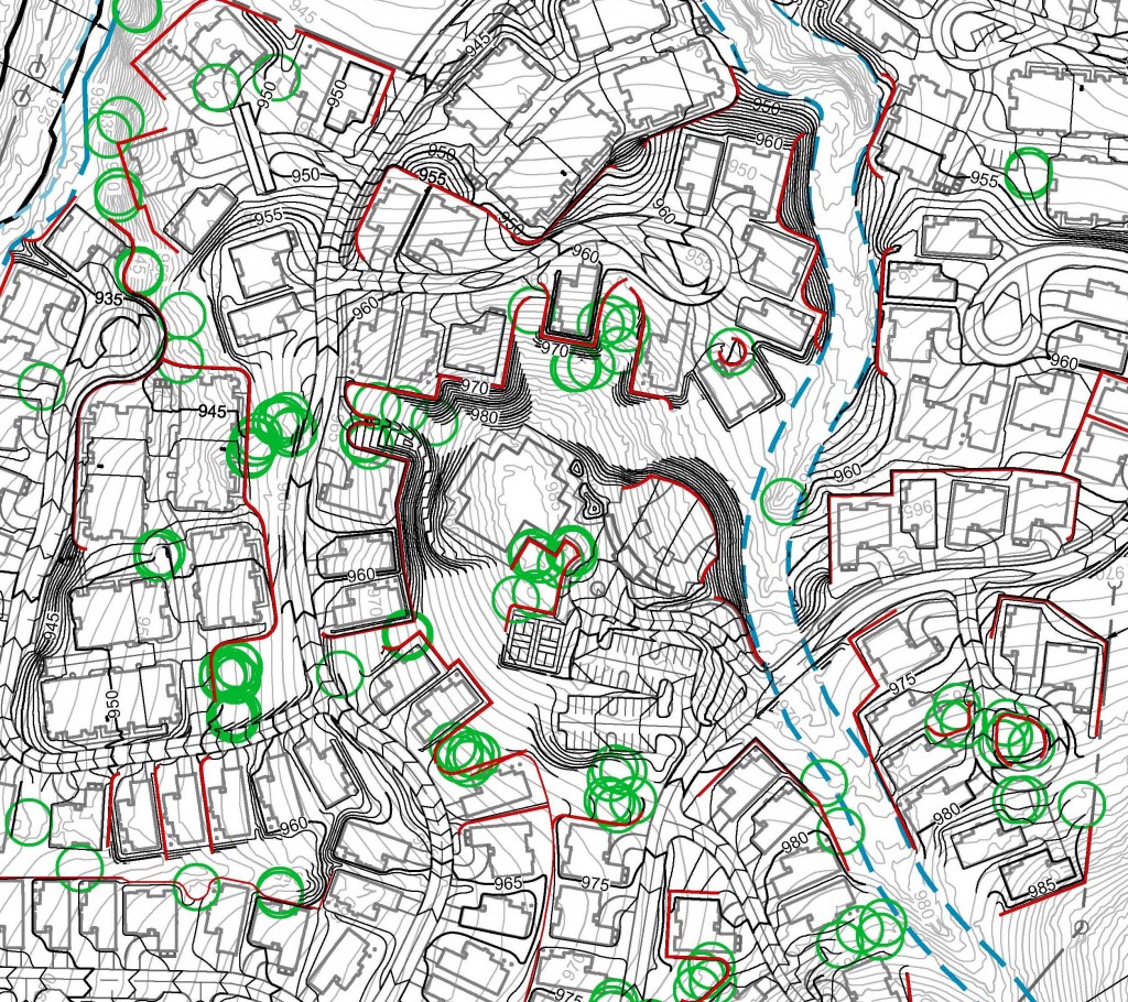 grading and tree preservation