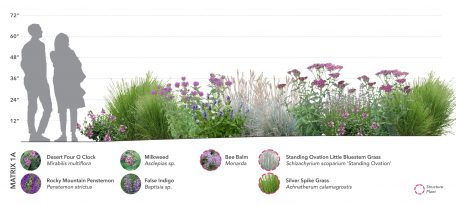 Kinston at Centerra: Inspire by the native foothills landscape.