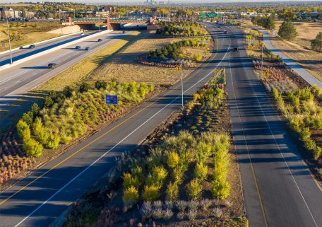 Water-wise landscape
